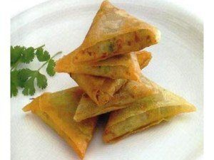 Briwats de pollo (Pack 15 Unidades) - Imagen 1